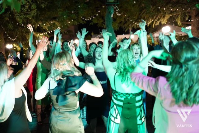 Gruppo di ospiti che balla all'aperto di notte, con le mani alzate e luci verdi e bianche che illuminano il pubblico. Sullo sfondo si vedono alberi, catenarie luminose e l'atmosfera festosa della pista da ballo allestita nel giardino.